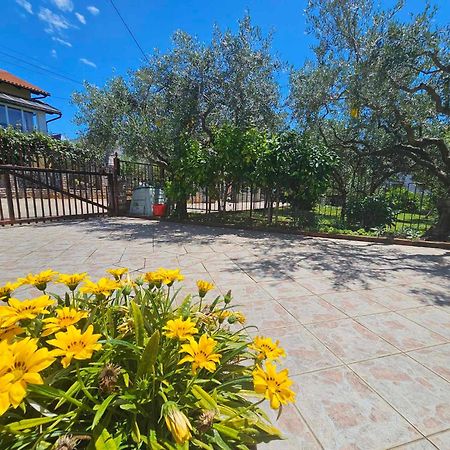 Apartmani Rita Kiwi Novigrad  Zewnętrze zdjęcie