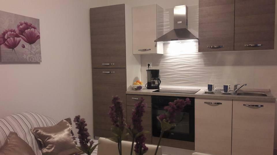 Apartmani Rita Kiwi Novigrad  Zewnętrze zdjęcie