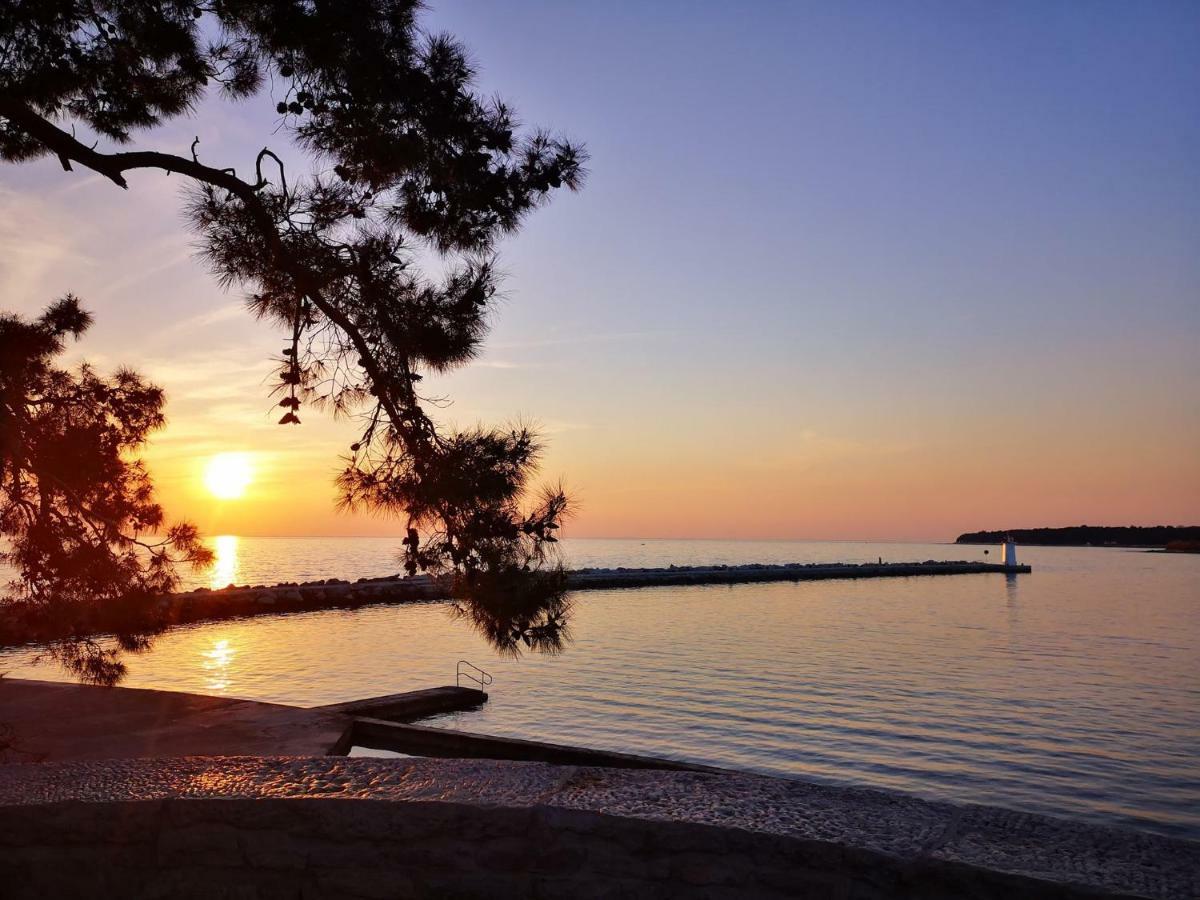 Apartmani Rita Kiwi Novigrad  Zewnętrze zdjęcie